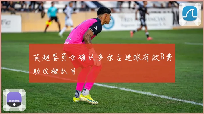 英超委员会确认多尔古进球有效B费助攻被认可