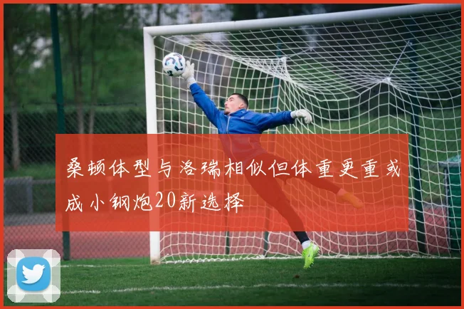 桑顿体型与洛瑞相似但体重更重或成小钢炮20新选择